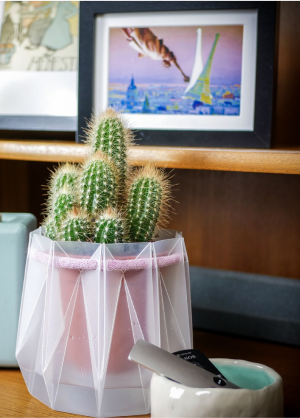 For Whom Castus Photo